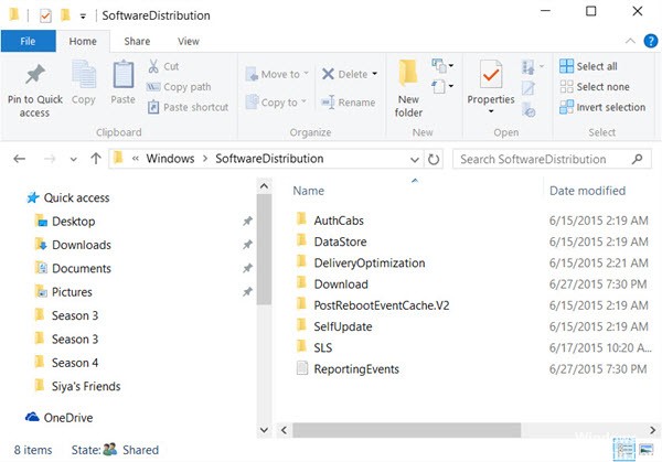 Software-Distributionsordner-Windows-Update